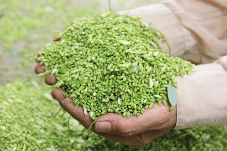 Product Info Image 3